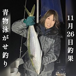 11月26日の釣果　泳がせで82ブリGET